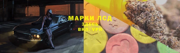 гидропоника Белокуриха