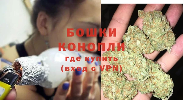 гидропоника Белокуриха