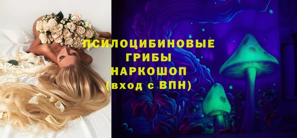 амф Беломорск