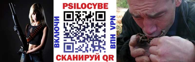 omg маркетплейс  наркотики  Кущёвская  Галлюциногенные грибы Psilocybe 